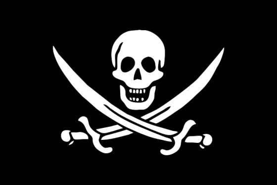 pirate_du_net